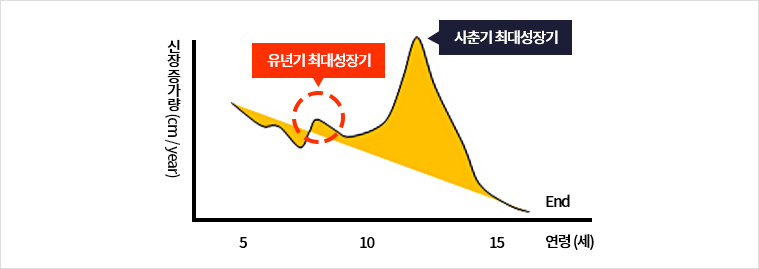 더블교정진단시스템 검사 사진